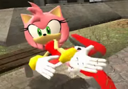 Amy Rose-a minor character