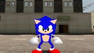 Sonic-a minor character