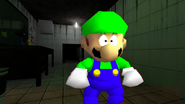 Luigi detects something