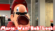 Wait! Bob! Look!