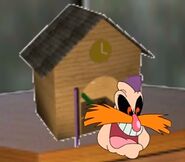 A pingas cuckoo clock that sounds at the start of every life.