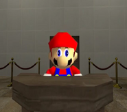 Mario In Court