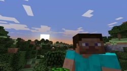 Minecraft overworld