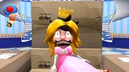 PrincessSMG3-Screenshoot199.png (1.46 MB)