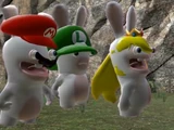 Rabbids