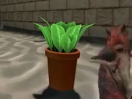 Piranha-Fern