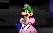 Princess Luigi.