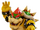 Bowser/Gallery