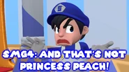 PrincessSMG3-Screenshoot139.png (952 KB)