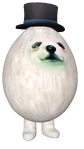Eggdog