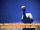 Goose