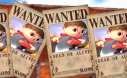 The Wanted posters for the Villager.