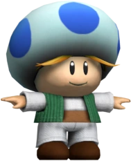 Raz modello SMRPG NS