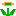 Fiore di Fuoco.gif