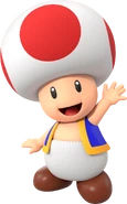 Toad