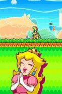 Super Princess Peach