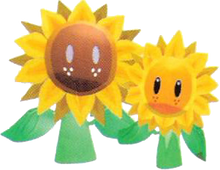 Girasoli SMS