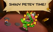 ShinyPeteyTime