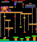 Livello 1 Screenshot - Donkey Kong Jr.