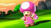 ToadetteWorldTour