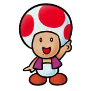 Toad