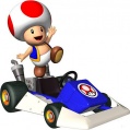 Toad Leggero