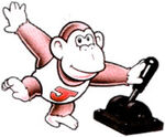 Donkey Kong Jr