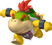 Bowser Jr