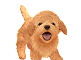 Nintendog