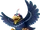 Wingo
