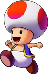 Toad MLFAC