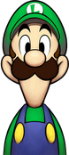 MLSSSDB-Luigi-n1