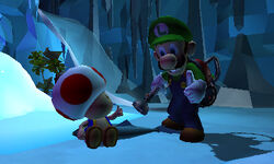 Un Toad salvato da Luigi.
