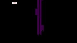SMB 2-19X DW