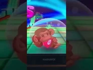 GonGon lying on his right side