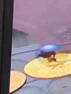 Screenshot of AiAi grooving