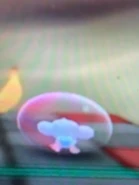 BabycrawlingIMG 2139