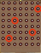 The correct switches