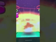 YanYan doing backflips