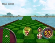 Gameplay