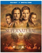 Season 15 Box Art.jpg (330 KB) DVD and Blu-Ray