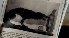 Side view.
*Týr and Fenrir (1911) by John Bauer for Our Fathers' Godsaga by Viktor Rydberg*

The image depicts the Norse god Fenrir biting off the arm of Norse god Tyr.

It was briefly shown in S2 E8 where it was incorrectly referenced as a blackdog