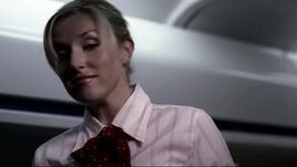 Flight Attendant