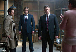 Promo pic for 5-14 My Bloody Valentine