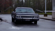 Impala% 27s back