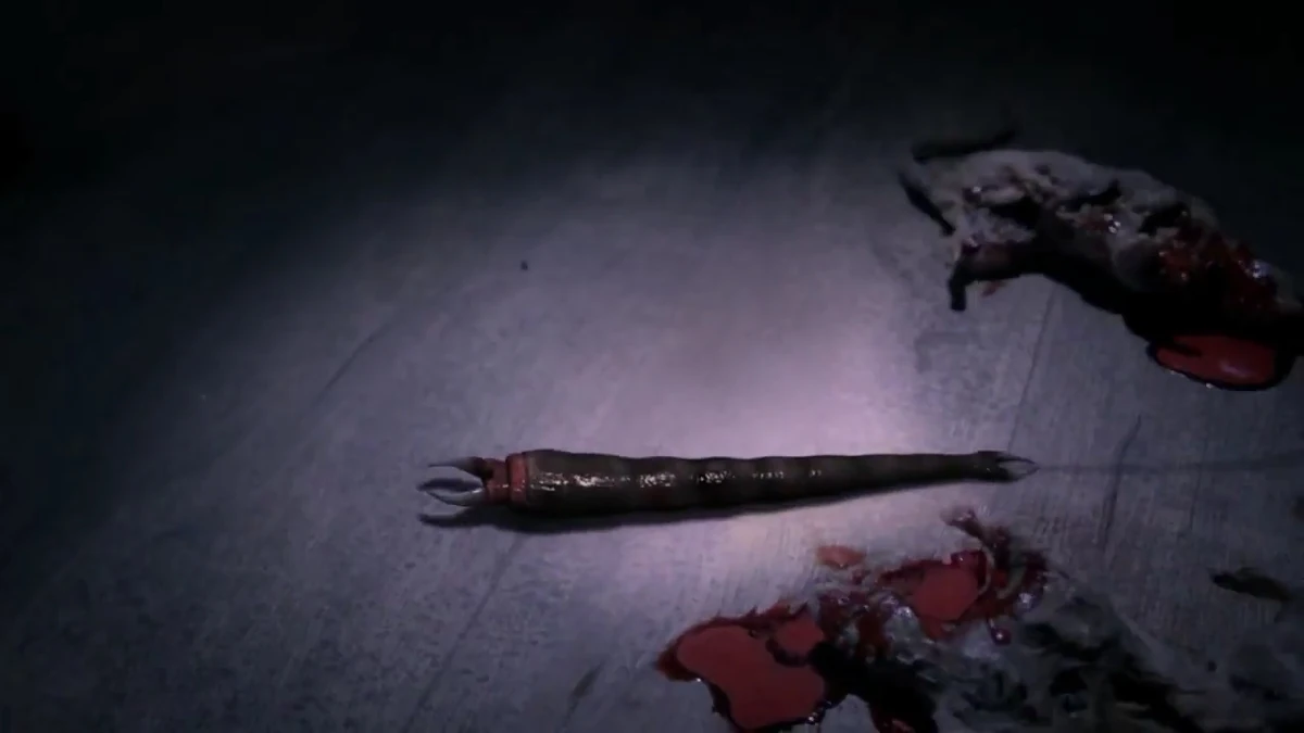 Vers Parasites | Supernatural Wiki | Fandom, image size:1200x675