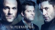 Season 15 Promotional Poster.jpg (306 KB)