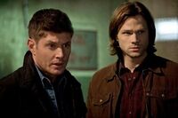 Supernatural (8.ª temporada) - Wikiwand