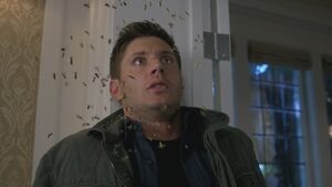 Dean attacked by bees