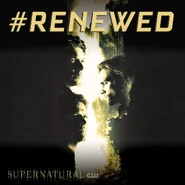 Season 15 Renewal.jpg (160 KB)
